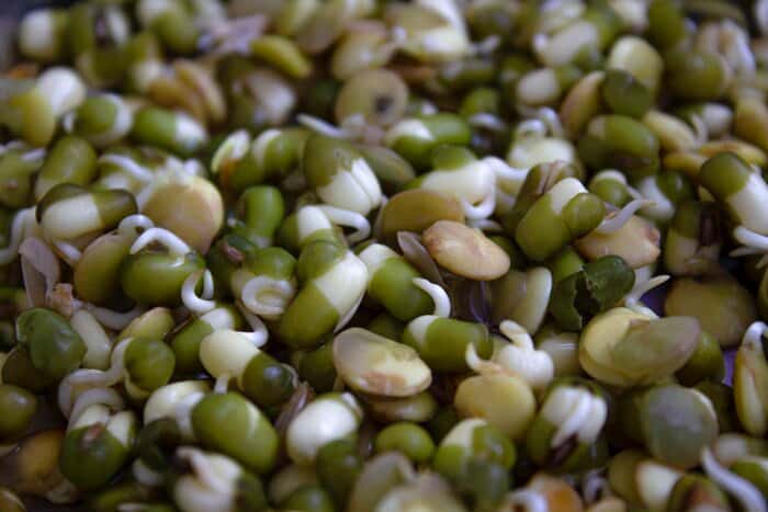 سبزه فوری عید