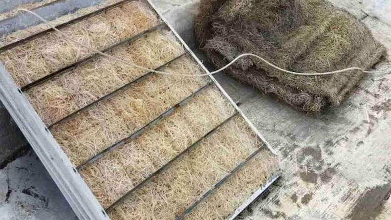 نکات مهم در سرویس کولر آبی