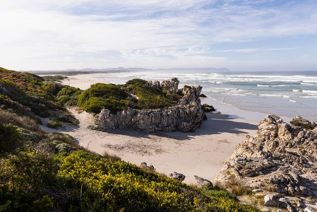 هرمانوس در آفریقای جنوبی