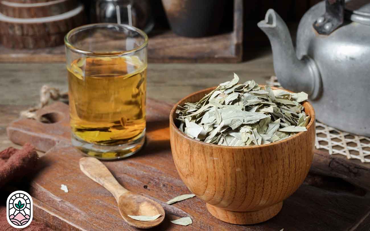 خواص برگ سنا