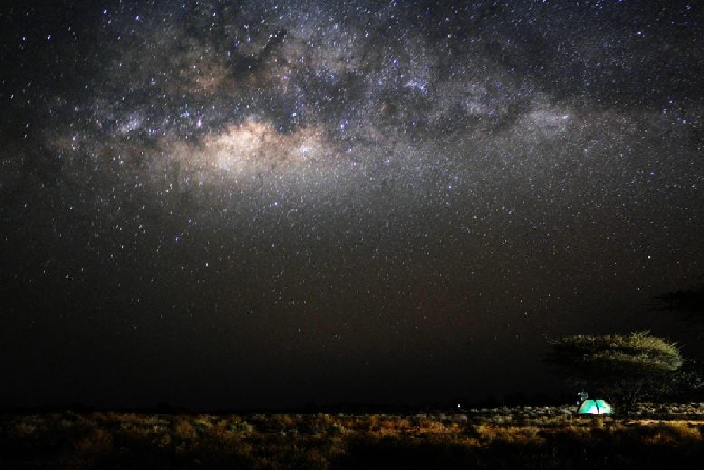 کشف راز ۱۸ میلیون ساله فسیل دندان