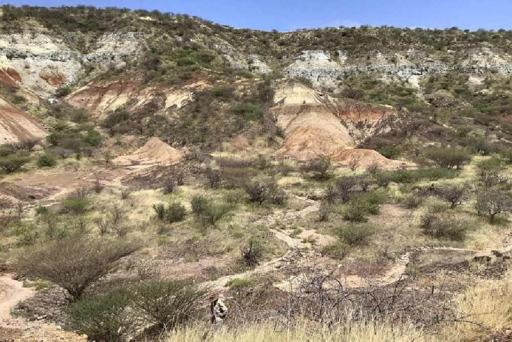 کشف راز ۱۸ میلیون ساله فسیل دندان