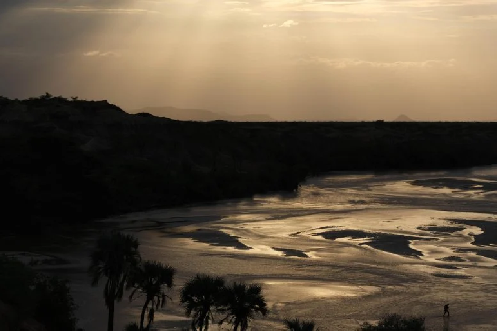 کشف راز ۱۸ میلیون ساله فسیل دندان