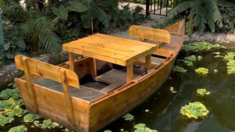 جنگل استوایی تهران