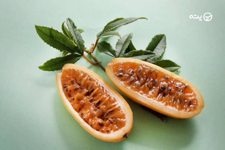 پاپایا 