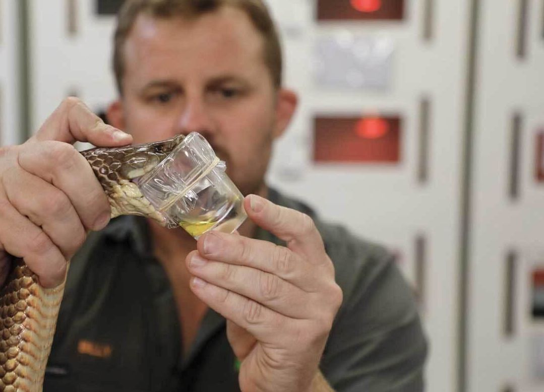 شغل دوشنده زهر مار