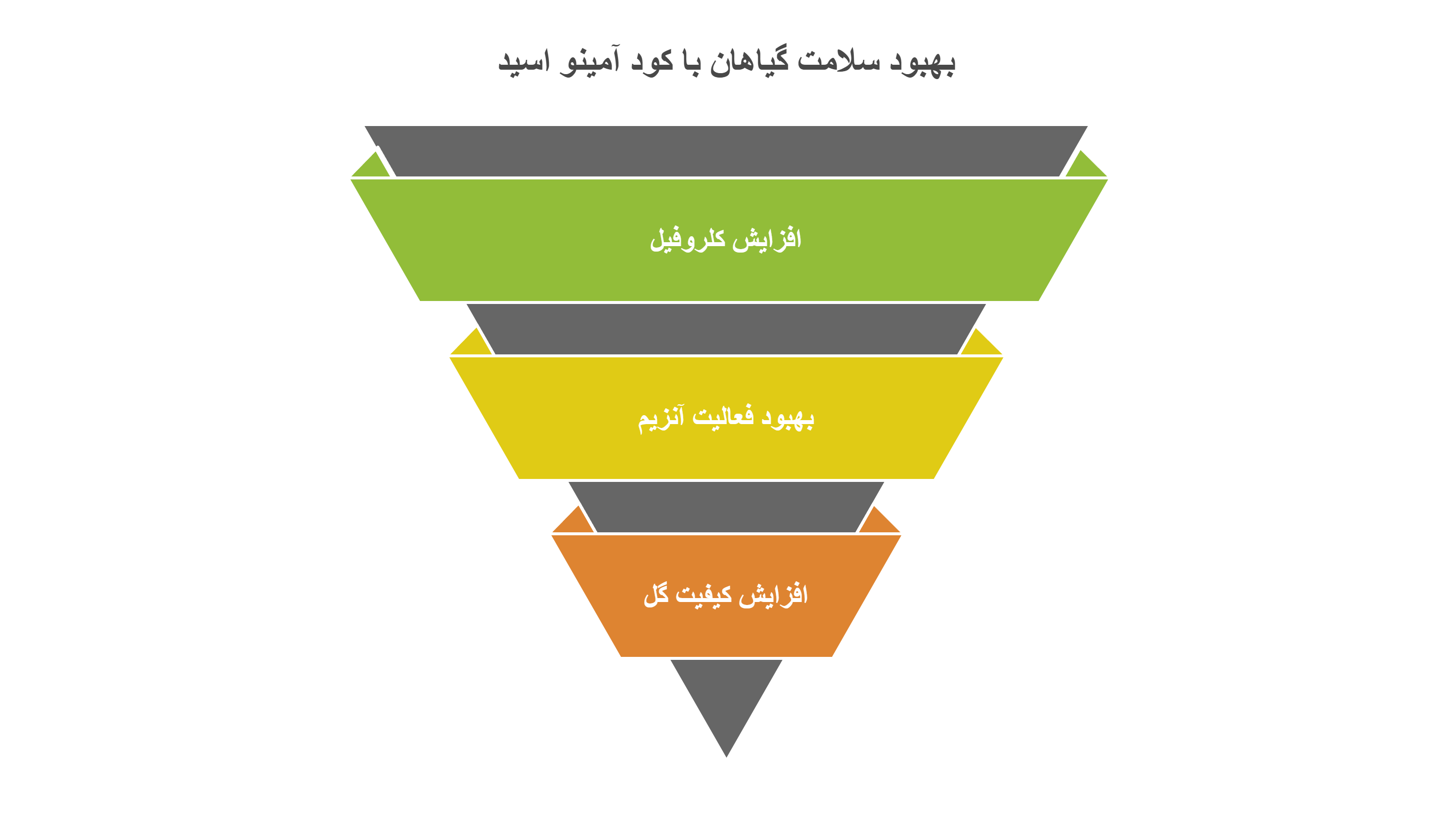 فواید محلول آمینو اسید برای گیاهان آپارتمانی 