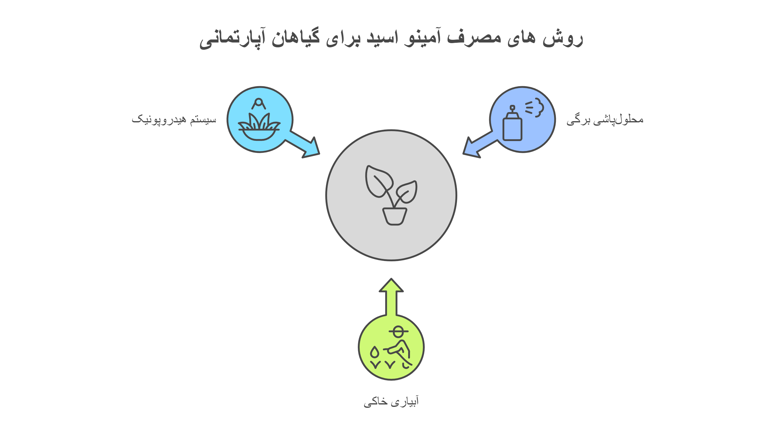نحوه استفاده از آمینو اسید برای گیاهان آپارتمانی 
