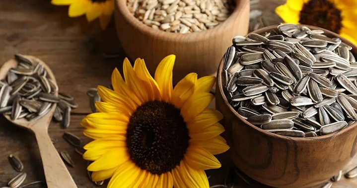 خواص تخمه آفتابگردان برای زنان