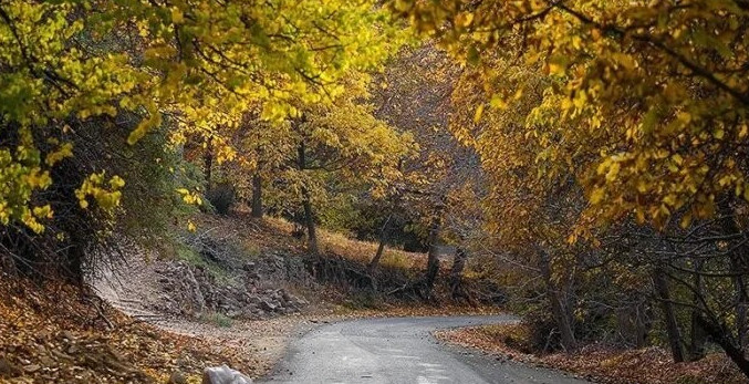 جاده هراز از بهترین جاهای دیدنی ایران در پاییز