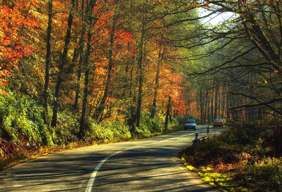 جاده اسالم به خلخال از بهترین جاهای دیدنی ایران در پاییز