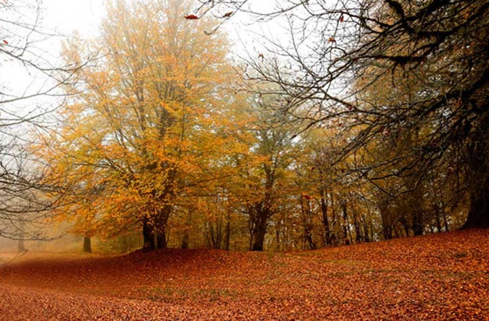 مازیچال از بهترین جاهای دیدنی ایران در پاییز