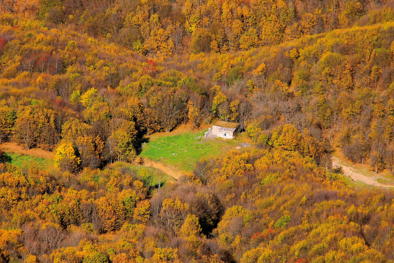 جنگلهای ارسباران از بهترین جاهای دیدنی ایران در پاییز