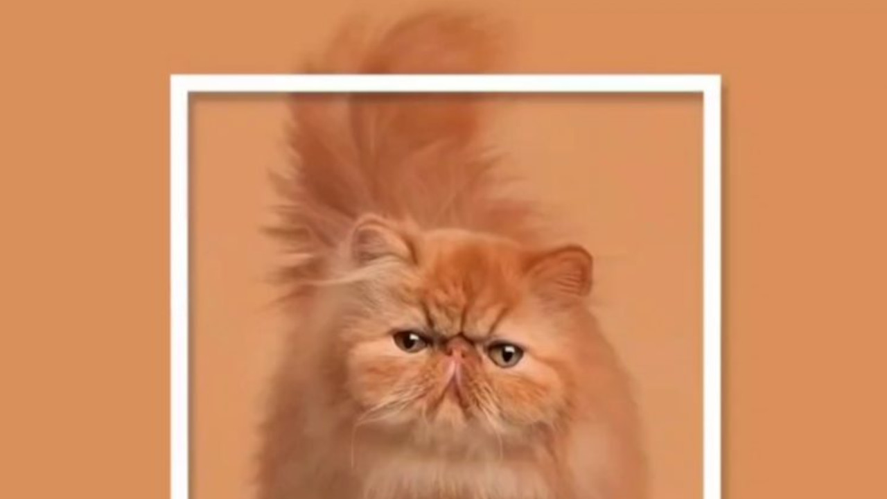 رنگ نارنجی ایرانی