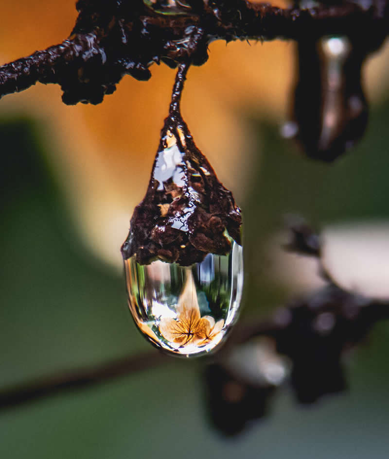 عکس برنده در چهاردهمین دوره جوایز سالانه عکاسی موبایل