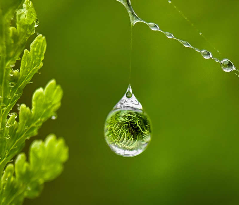 عکس برنده در چهاردهمین دوره جوایز سالانه عکاسی موبایل