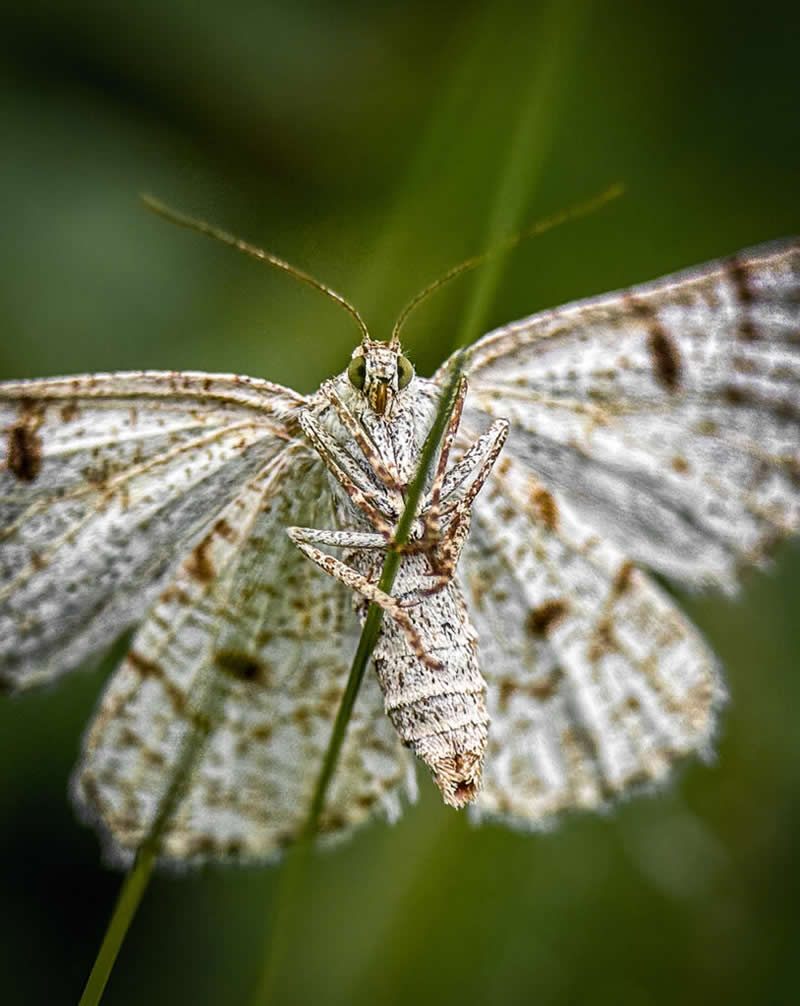عکس برنده در چهاردهمین دوره جوایز سالانه عکاسی موبایل