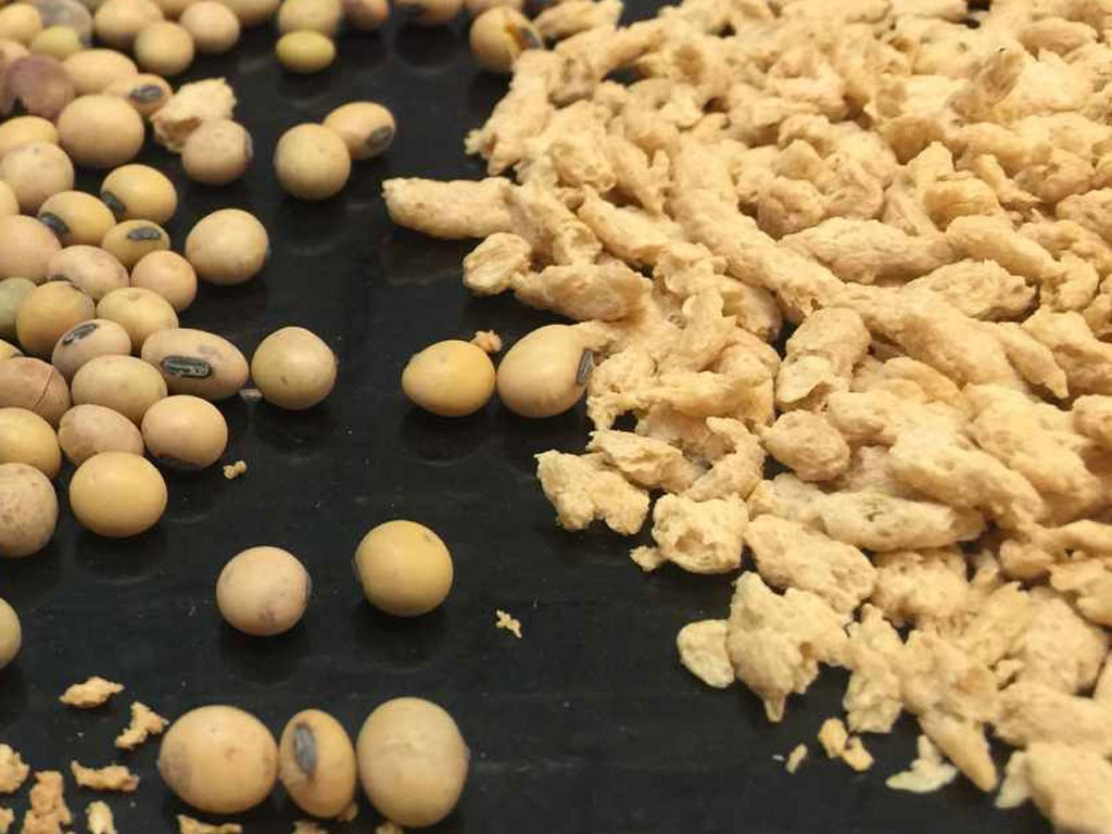 سویا جایگزین گوشت و مرغ