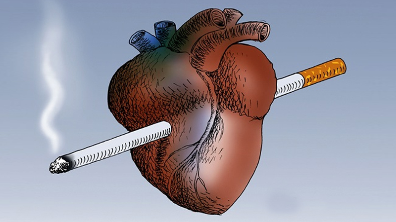 سیگار کشیدن و سلامت قلب