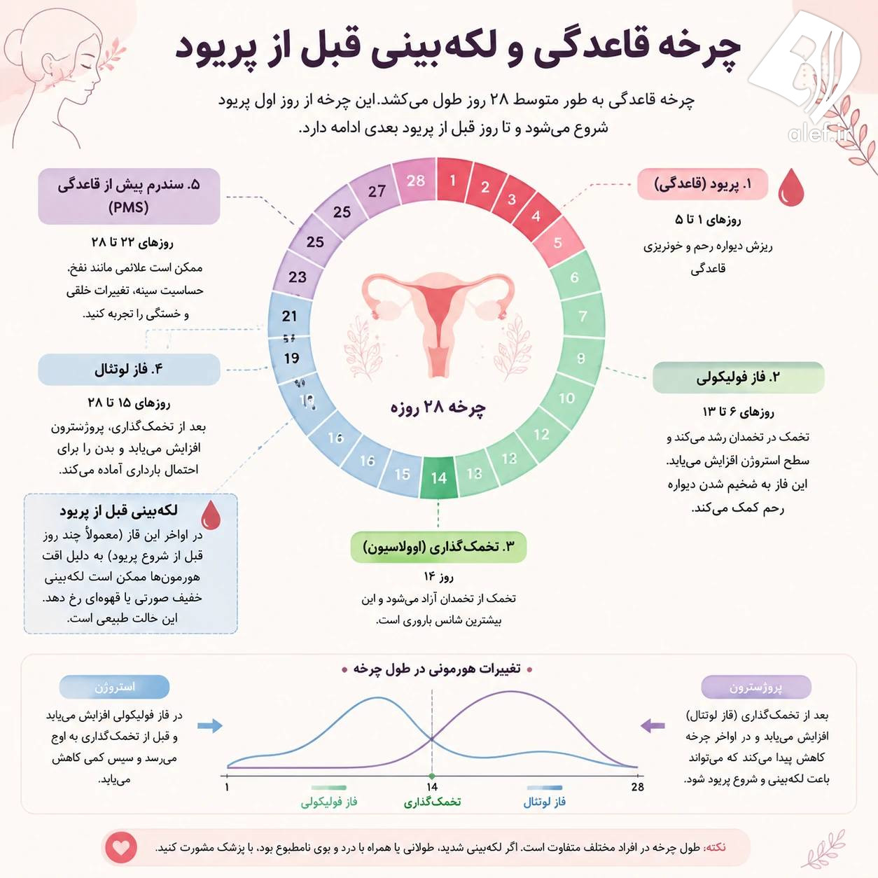 اینفوگرافی چرخه قاعدگی و هورمونی