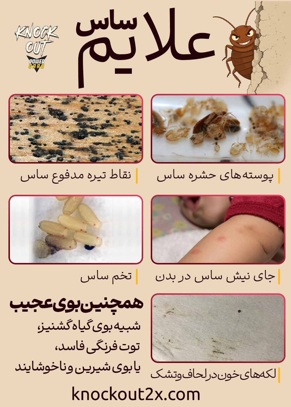علائم ساس در منزل