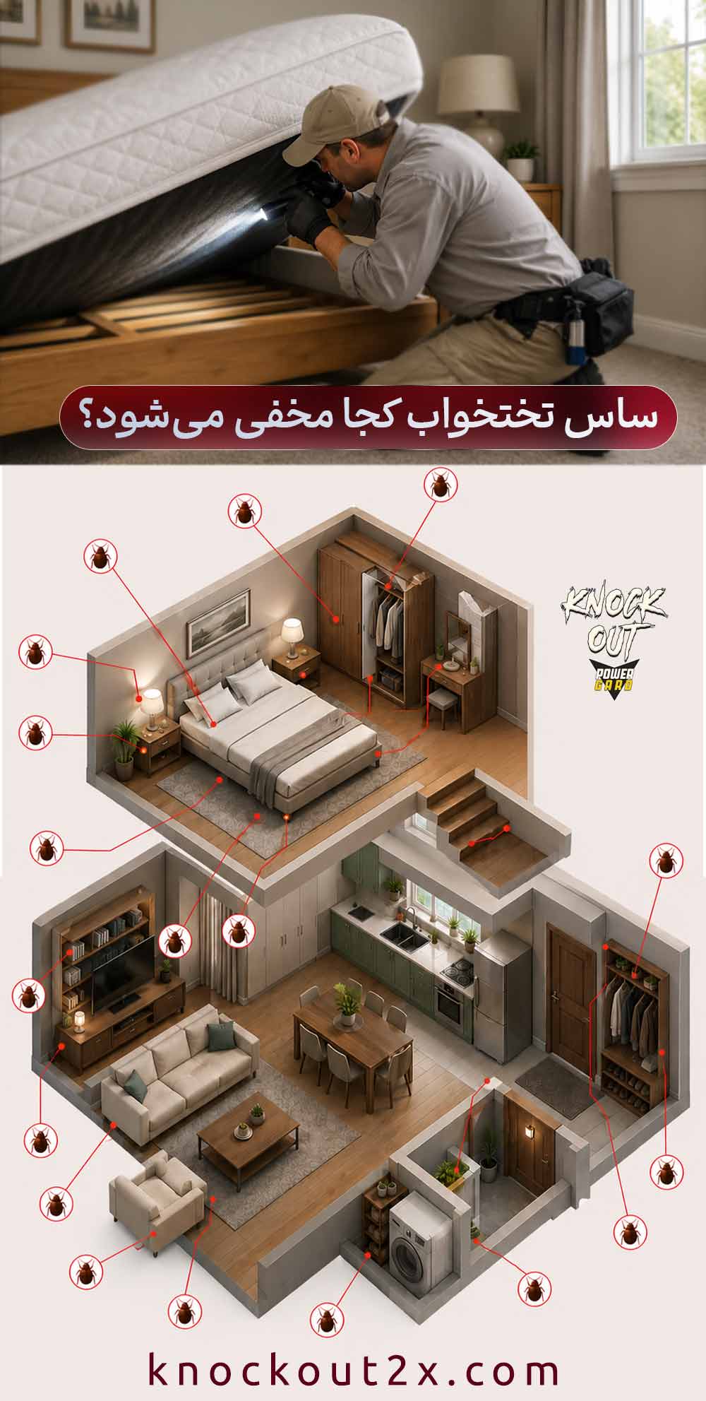 ساس تختخواب کجا مخفی میشود؟