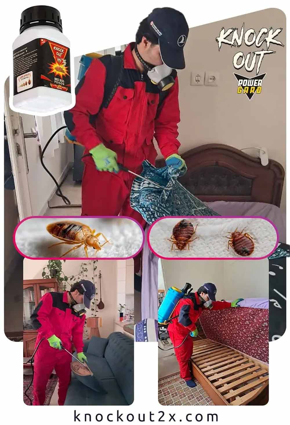 نحوه سمپاشی ساس منزل با سم ساس کش ناک اون مدل 2X