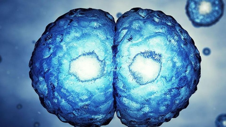 بروز بیماری ناشناخته ای که با سرطان اشتباه گرفته می شود بروز بیماری ناشناخته ای که با سرطان اشتباه گرفته می شود