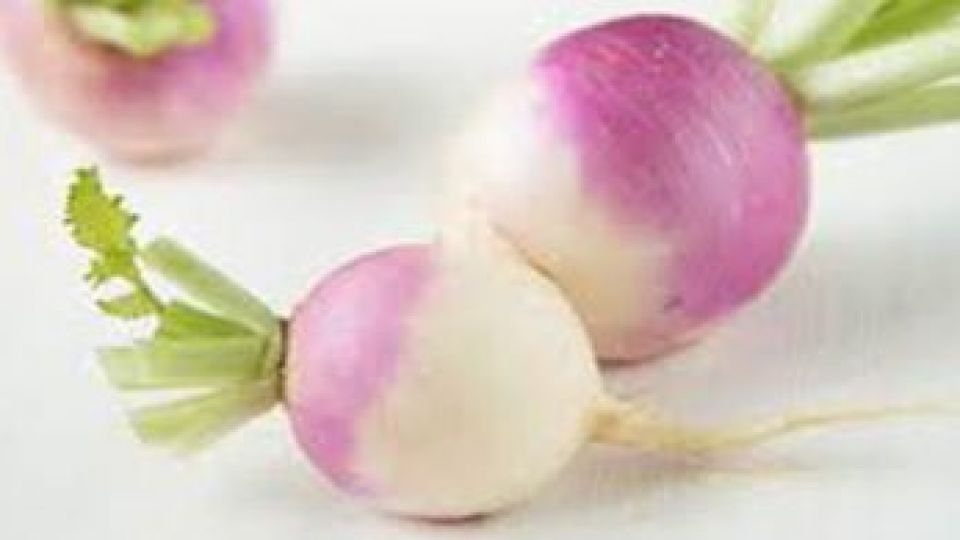 لطفا این بیماران شلغم نخورند! لطفا این بیماران شلغم نخورند!