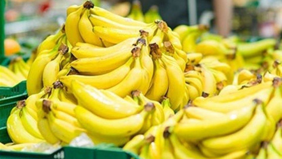 واردات موز ۲۱درصد بیشتر شد + جدول واردات موز ۲۱درصد بیشتر شد + جدول