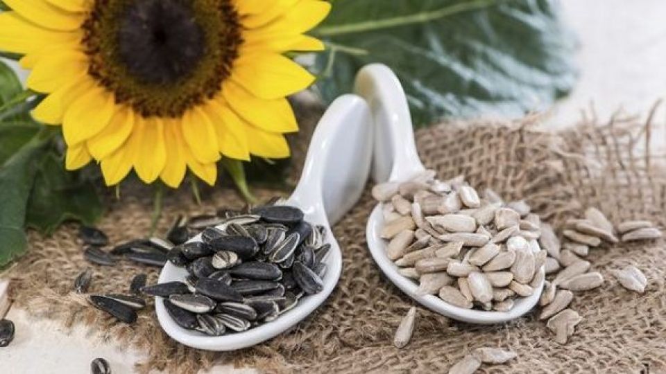 واردات تخمه آفتابگردان از آمریکا + جدول واردات تخمه آفتابگردان از آمریکا + جدول