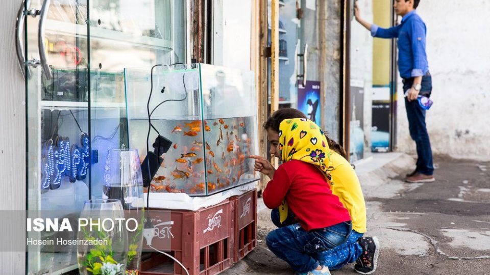 محله گلشهر مشهد در آستانه سال نو