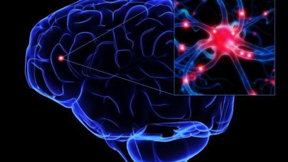 دستاورد علمی دانشمند ایرانی برای کمک به درمان اعتیاد دستاورد علمی دانشمند ایرانی برای کمک به درمان اعتیاد