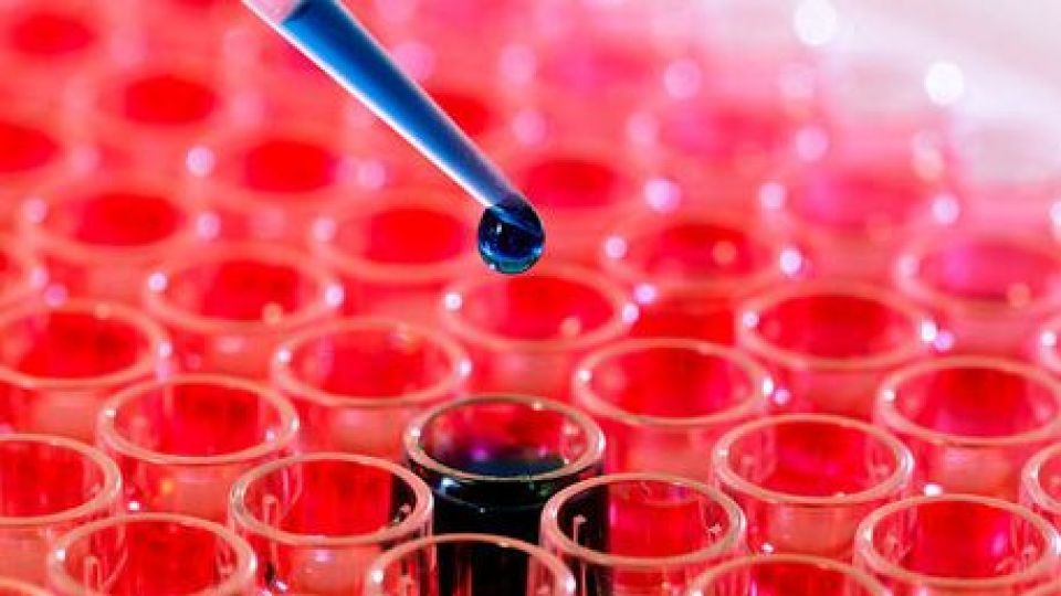 علائم اولیه سرطان خون در کودکان علائم اولیه سرطان خون در کودکان