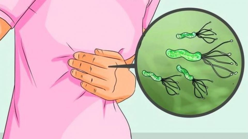 ابتلای ۶۰ درصد ایرانیها به عفونت معده ابتلای ۶۰ درصد ایرانیها به عفونت معده