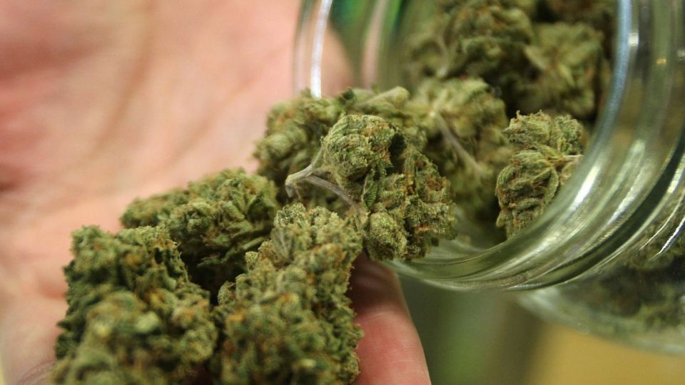 مصرف مخدر "گل" و شادی پس از آن مصرف مخدر "گل" و شادی پس از آن