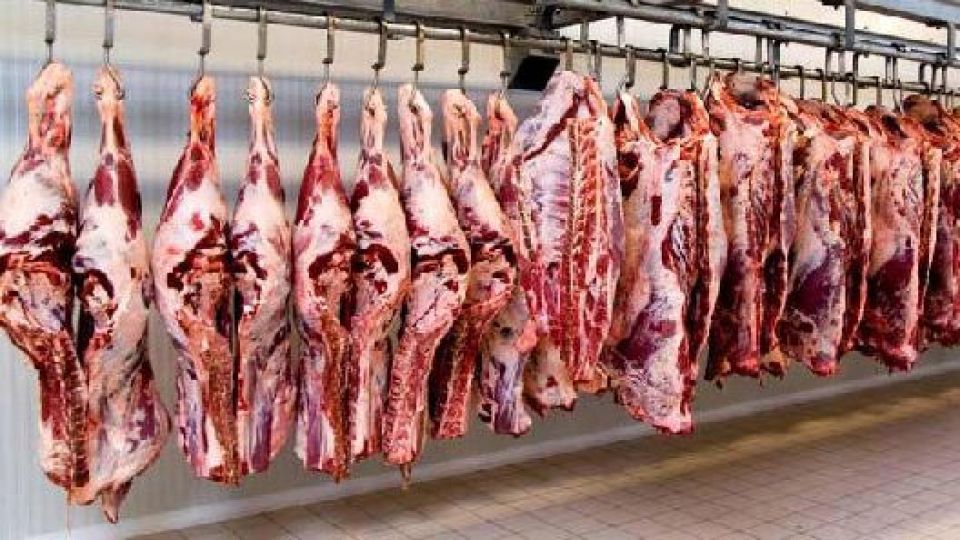 قیمت گوشت گوسفندی به ۵۶ هزار تومان رسید قیمت گوشت گوسفندی به ۵۶ هزار تومان رسید