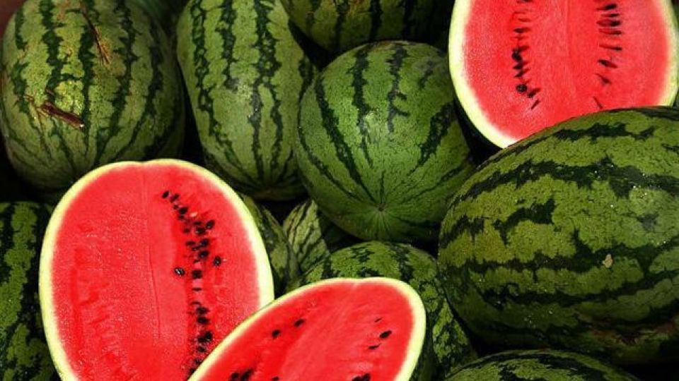 صادرات هندوانه ۱۰۰۰۰۰۰۰۰ دلاری شد صادرات هندوانه ۱۰۰۰۰۰۰۰۰ دلاری شد