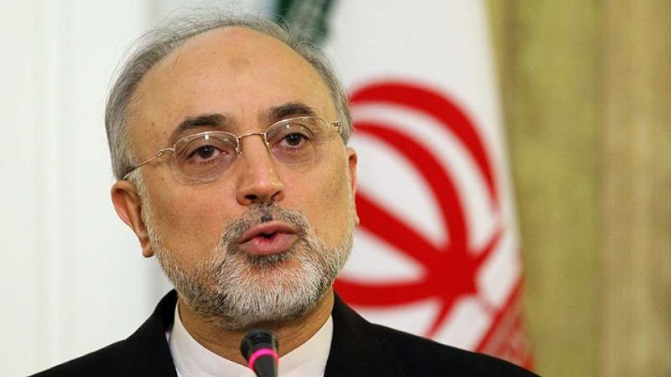 صالحی: برای تحقق آرمانهای انقلاب به سیاست عملگرا نیاز داریم صالحی: برای تحقق آرمانهای انقلاب به سیاست عملگرا نیاز داریم