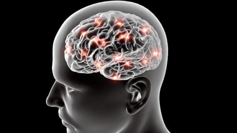 امکان درمان آلزایمر با داروی کبد امکان درمان آلزایمر با داروی کبد