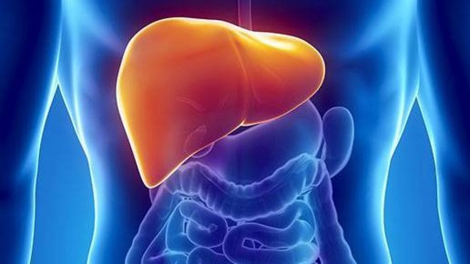 مبتلایان به «کبد چرب» این نکات را فراموش نکنند مبتلایان به «کبد چرب» این نکات را فراموش نکنند