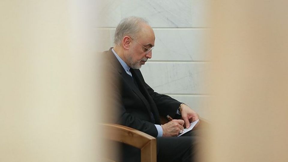 ماجرای «مذاکره محرمانه ایران با آمریکا» از زبان علیاکبر صالحی ماجرای «مذاکره محرمانه ایران با آمریکا» از زبان علیاکبر صالحی