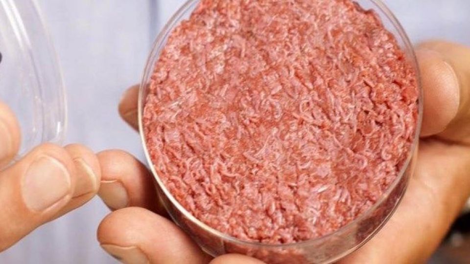 آیا شما گوشت آزمایشگاهی را خواهید خورد؟ آیا شما گوشت آزمایشگاهی را خواهید خورد؟