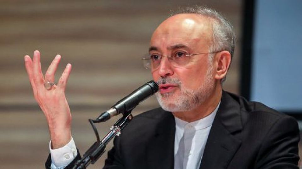 صالحی: برجام میتوانست راه را برای ایجاد اعتماد از دست رفته آمریکا، هموار کند صالحی: برجام میتوانست راه را برای ایجاد اعتماد از دست رفته آمریکا، هموار کند