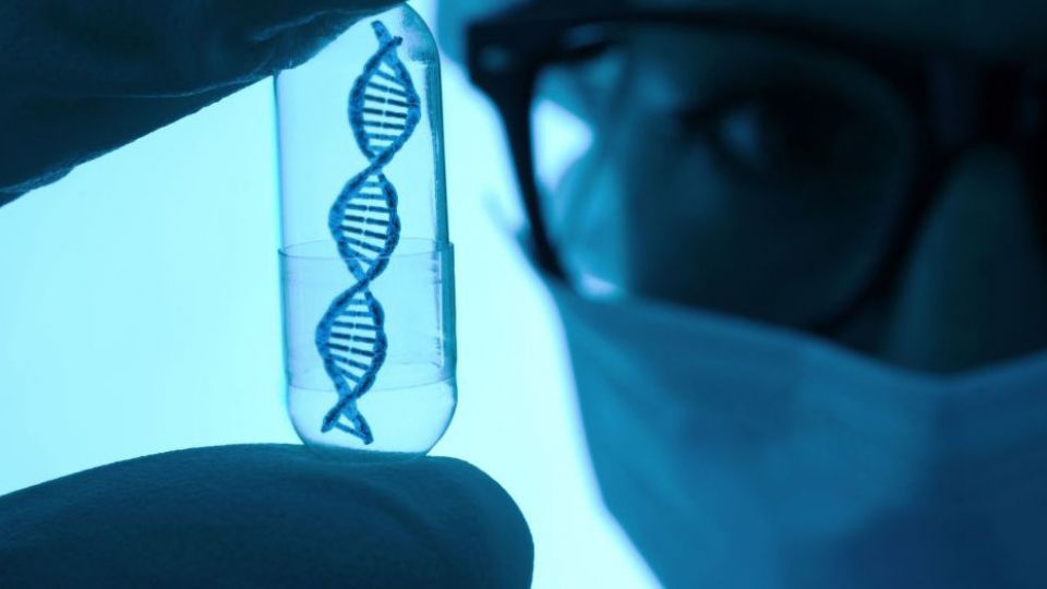 آمریکا در گرجستان و افغانستان سلاح بیولوژیک آزمایش میکند آمریکا در گرجستان و افغانستان سلاح بیولوژیک آزمایش میکند