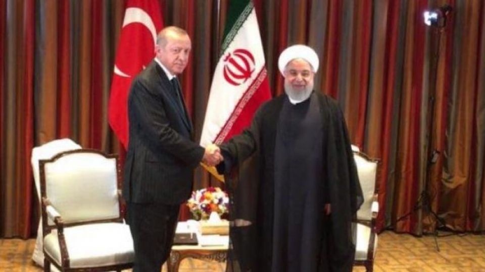 اردوغان با روحانی دیدار کرد اردوغان با روحانی دیدار کرد