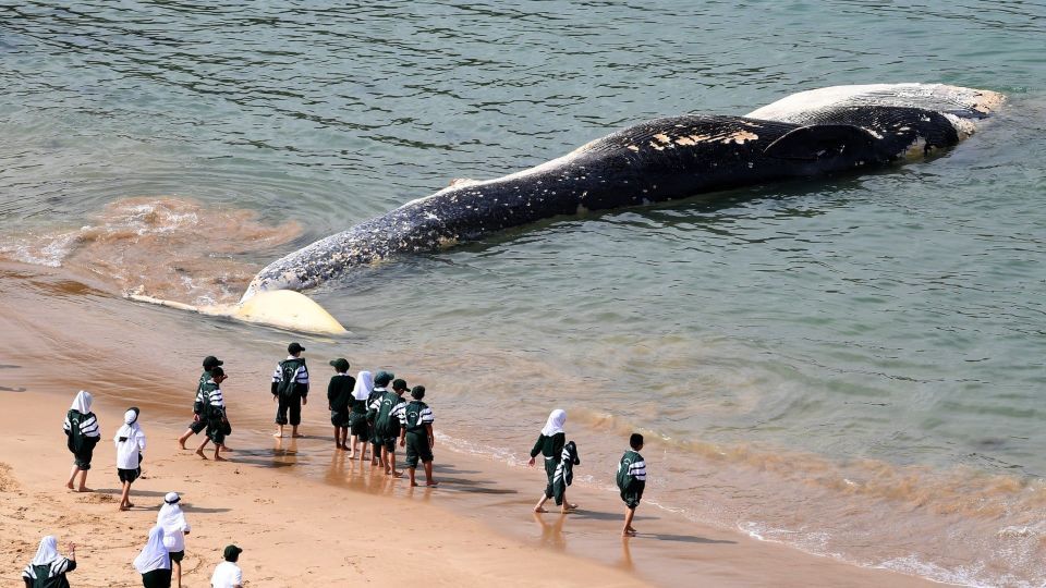 تصاویر منتخب گاردین