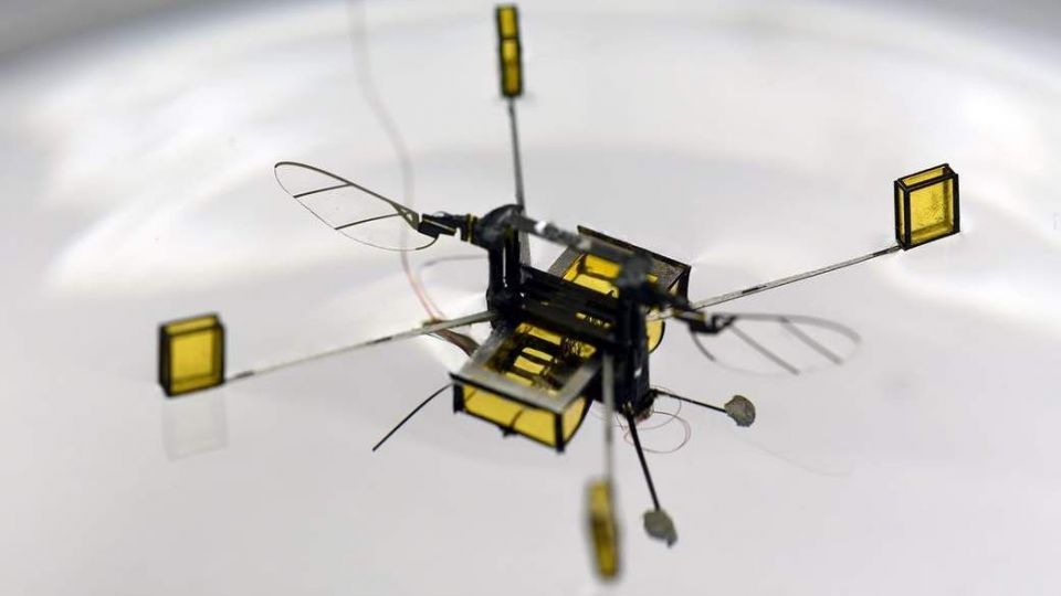 رباتی که از یک سکه کوچکتر است + عکس رباتی که از یک سکه کوچکتر است + عکس