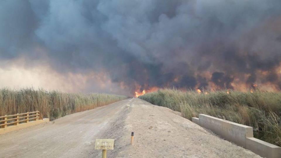 هورالعظیم بازهم آتش گرفت هورالعظیم بازهم آتش گرفت