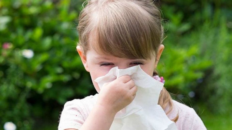 ۱۷ راه پیشگیری از آلرژیهای فصل پائیز ۱۷ راه پیشگیری از آلرژیهای فصل پائیز